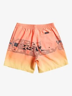 Quiksilver Everyday Wordblock 17" - Short De Bain Pour Homme -Surf Soldes eqyjv04005 quiksilverf mhv6 bck1