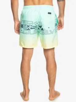 Quiksilver Everyday Wordblock 17" - Short De Bain Pour Homme -Surf Soldes eqyjv04005 quiksilverw gcz6 bck1