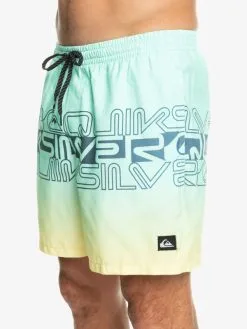 Quiksilver Everyday Wordblock 17" - Short De Bain Pour Homme -Surf Soldes eqyjv04005 quiksilverw gcz6 frt3