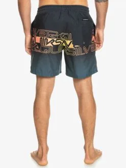 Quiksilver Everyday Wordblock 17" - Short De Bain Pour Homme -Surf Soldes eqyjv04005 quiksilverw kvj6 bck1