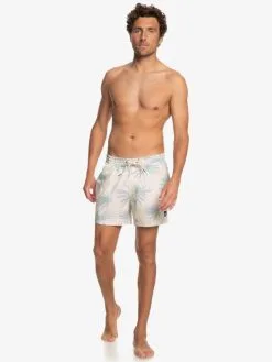 Quiksilver Surfsilk Mix 15" - Short De Bain Pour Homme -Surf Soldes eqyjv04007 quiksilverw wdw6 frt9