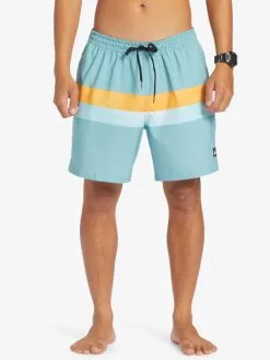 Quiksilver Surfsilk Air-Brush 17" - Short De Bain Pour Homme
