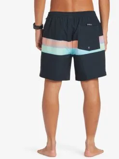Quiksilver Surfsilk Air-Brush 17" - Short De Bain Pour Homme -Surf Soldes eqyjv04011 quiksilverw kvj7 bck1