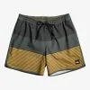 Quiksilver Surfsilk Tijuana 16" - Short De Bain Pour Homme