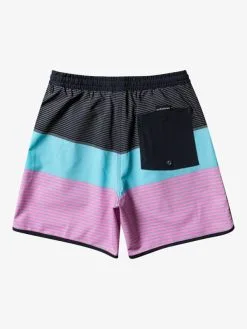Quiksilver Surfsilk Tijuana 17" - Short De Bain Pour Homme -Surf Soldes eqyjv04013 quiksilverf kvj7 bck1