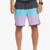 Quiksilver Surfsilk Tijuana 17" - Short De Bain Pour Homme