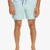 Quiksilver Everyday Deluxe 15" - Short De Bain Pour Homme