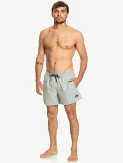 Quiksilver Everyday Deluxe 15" - Short De Bain Pour Homme -Surf Soldes eqyjv04019 quiksilverw szph frt9