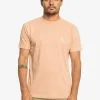 Quiksilver Essentials - T-shirt En Matière Biologique Pour Homme