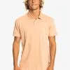 Quiksilver Essentials - Polo Manches Courtes En Matière Biologique Pour Homme