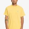 Quiksilver The Natural Dye - T-shirt Pour Homme