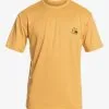 Quiksilver Heritage Heather - Surf Tee Manches Courtes UPF 50 Pour Homme