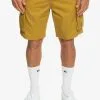 Quiksilver Relaxed - Short Cargo Pour Homme