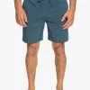 Quiksilver Ocean Elastic 18" - Short Amphibian Pour Homme