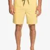 Quiksilver Taxer 18" - Boardshort Amphibian Pour Homme
