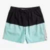 Quiksilver Omni 17" Training Shorts