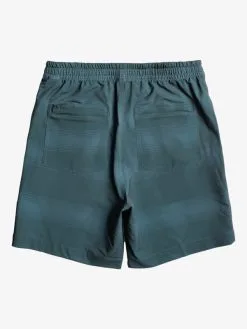 Quiksilver Taxer Print 18" - Boardshort Amphibian Pour Homme -Surf Soldes eqyws03839 quiksilverf byg6 bck1