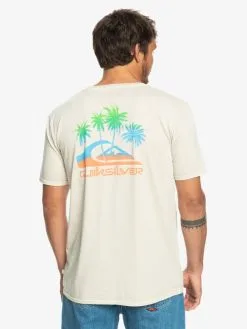Quiksilver Pastime Paradise - T-shirt Pour Homme -Surf Soldes eqyzt07252 quiksilverw wdw0 bck1